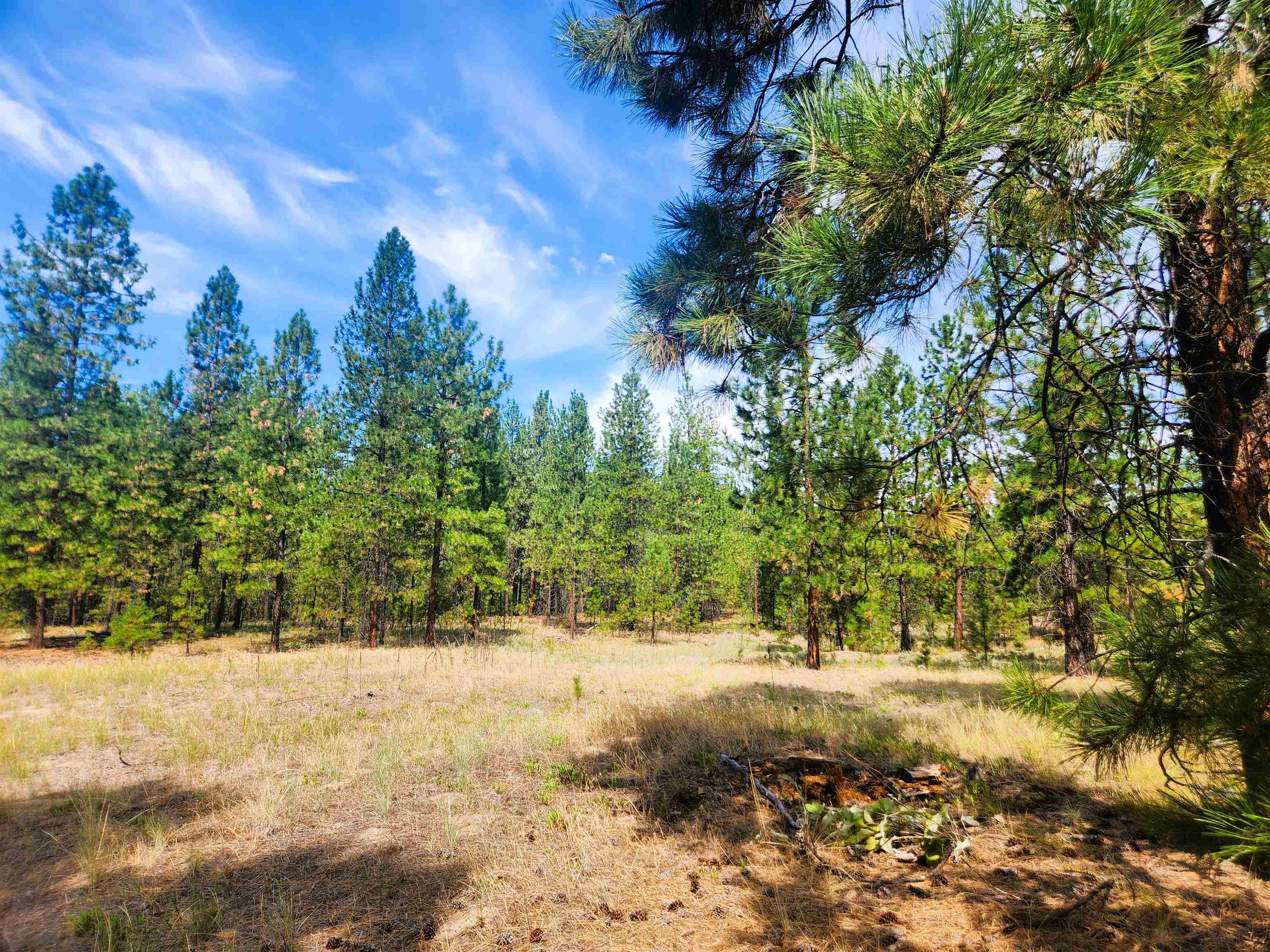 1866K Northport Flat Creek Rd - Photo 4