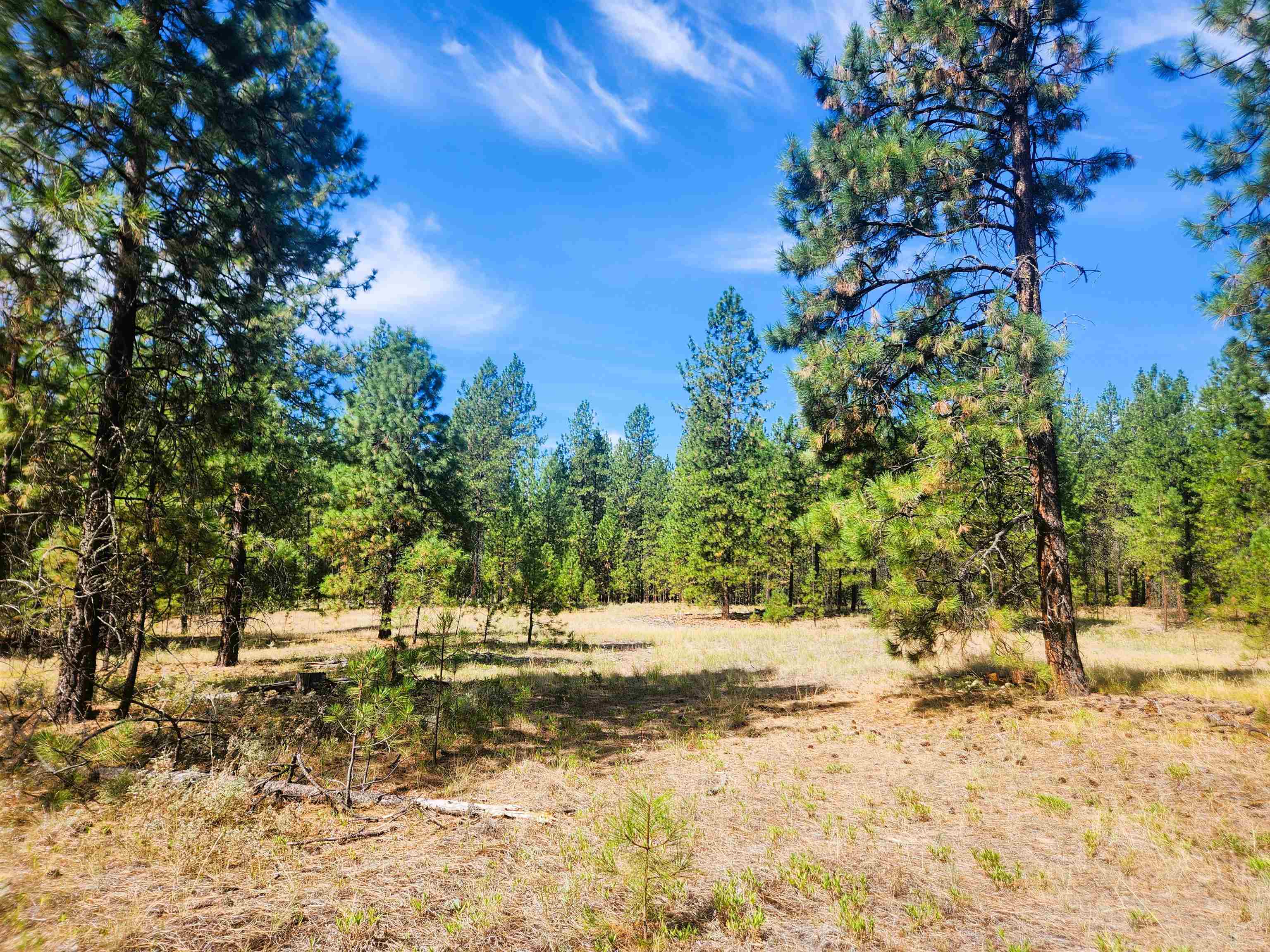 1866K Northport Flat Creek Rd - Photo 9