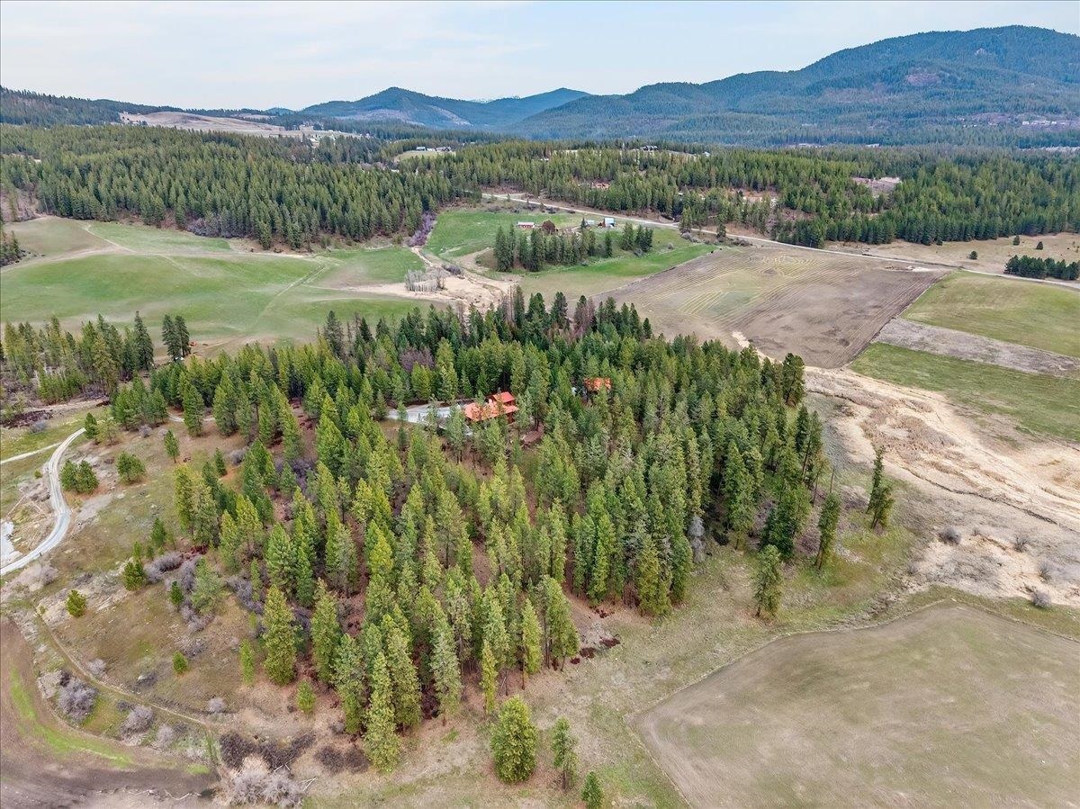 2358 Highline Rd - Photo 5