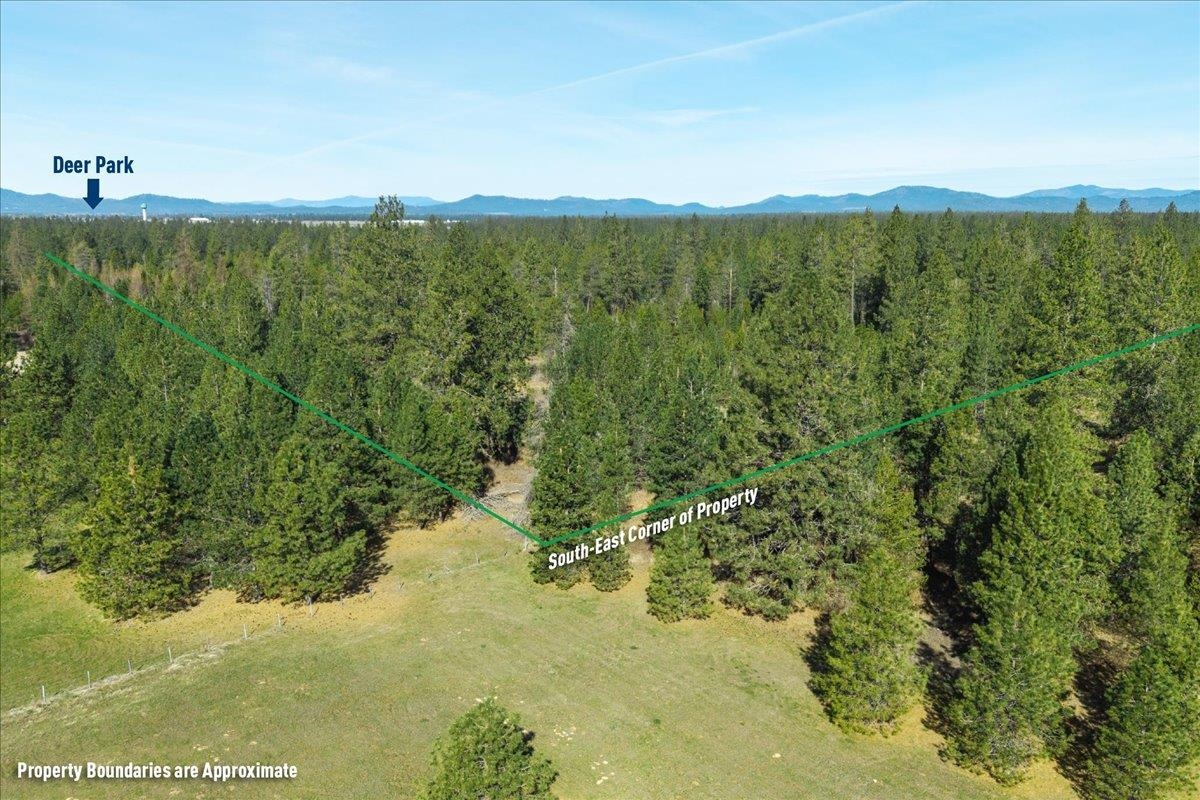 33518 N Missile Site Rd - Photo 11