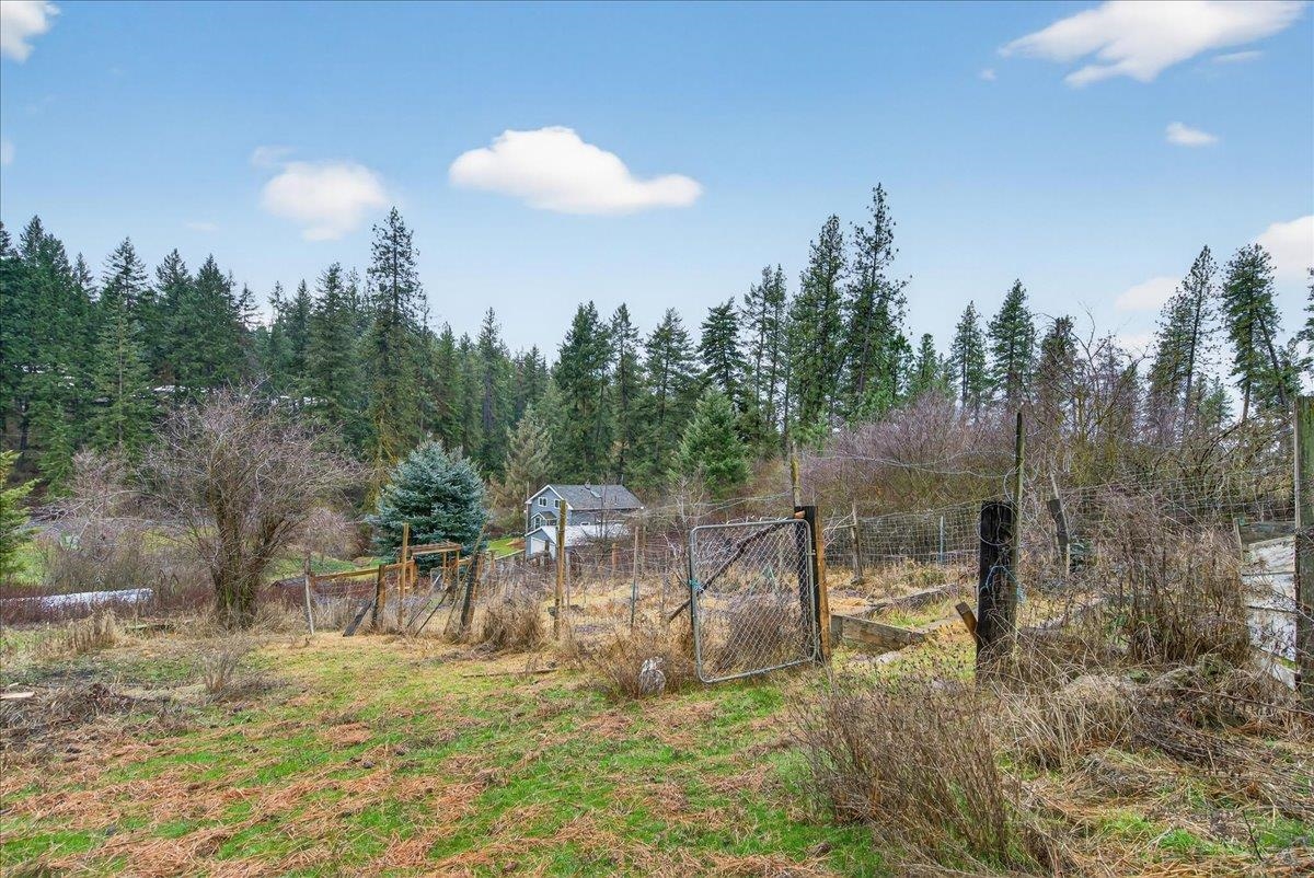 16825 N Day Mt. Spokane Rd - Photo 39