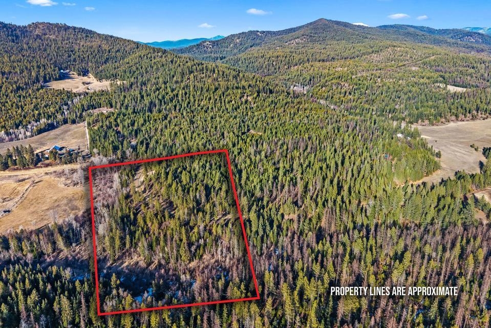 2845 Burnt Valley (18.5ac) Rd - Photo 1