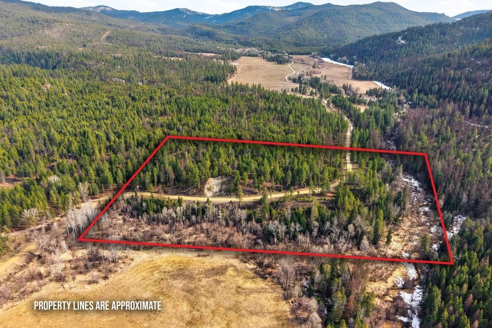 2845 Burnt Valley (18.5ac) Rd - Photo 2