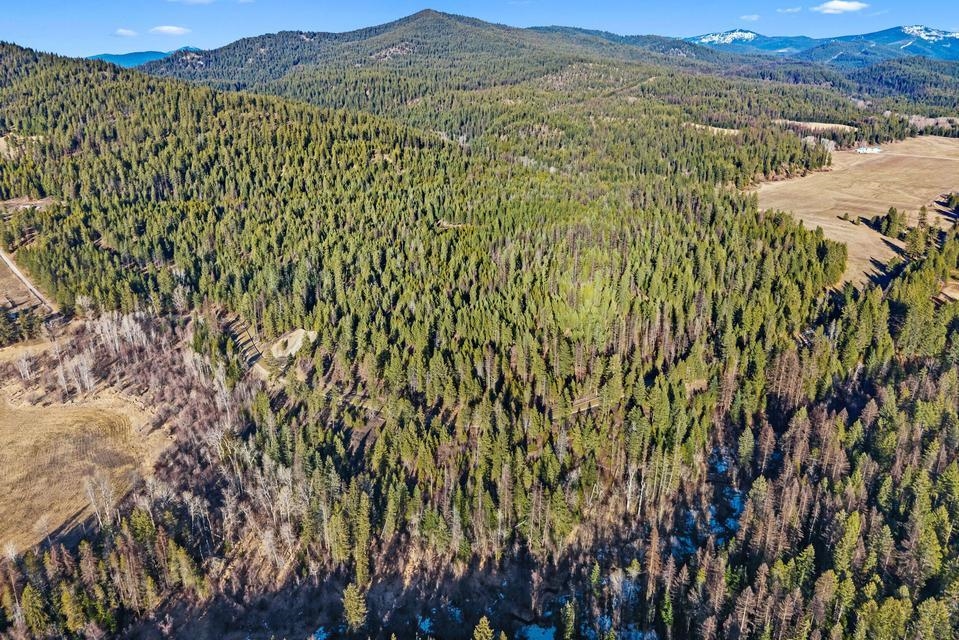 2845 Burnt Valley (18.5ac) Rd - Photo 11