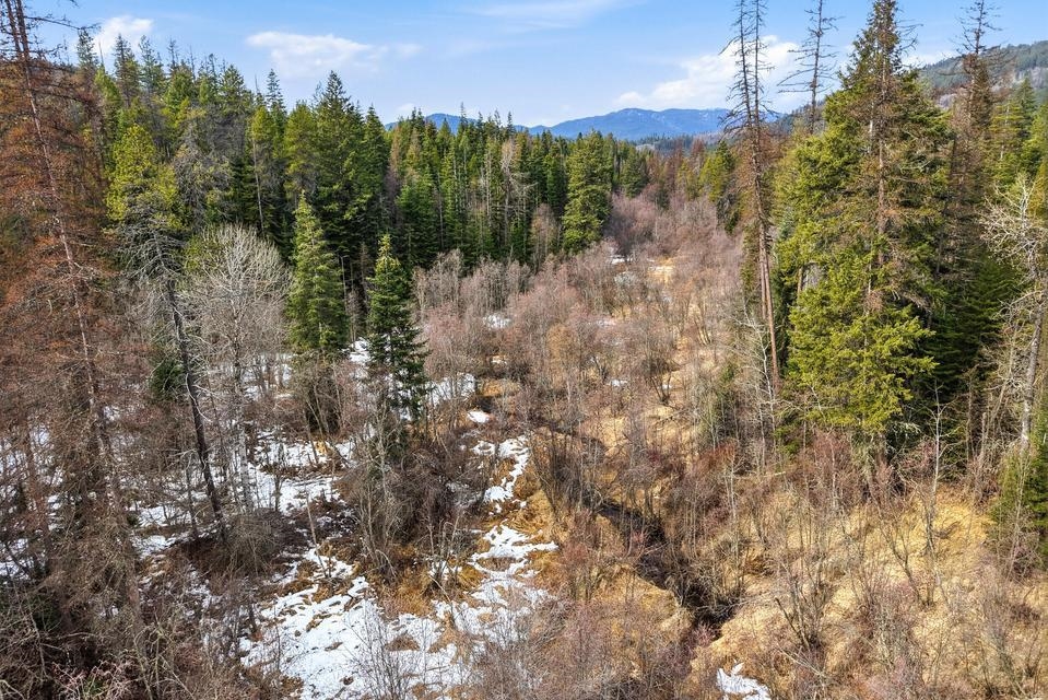 2845 Burnt Valley (18.5ac) Rd - Photo 12