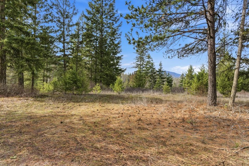 2845 Burnt Valley (18.5ac) Rd - Photo 14