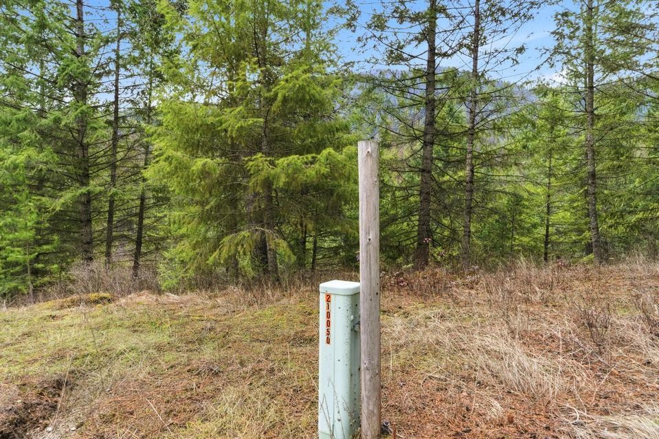 2845 Burnt Valley (18.5ac) Rd - Photo 15