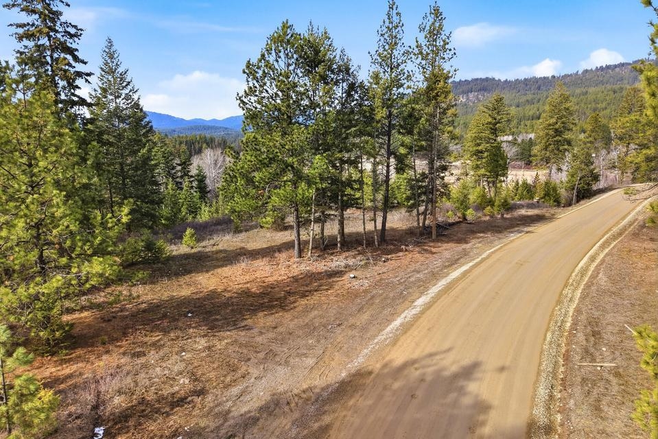 2845 Burnt Valley (18.5ac) Rd - Photo 16
