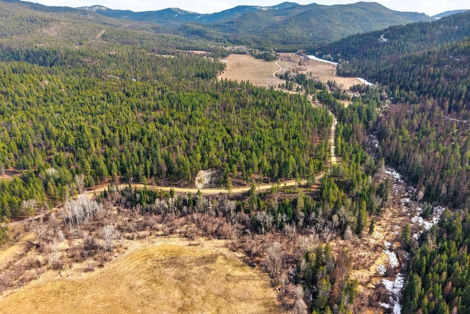 2845 Burnt Valley (18.5ac) Rd - Photo 3