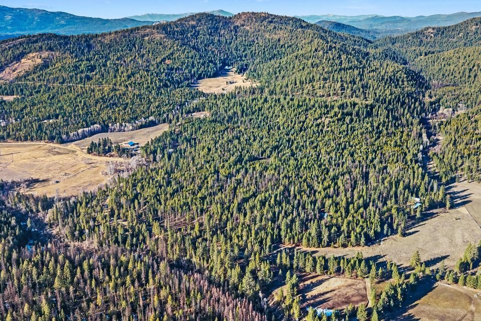 2845 Burnt Valley (18.5ac) Rd - Photo 4