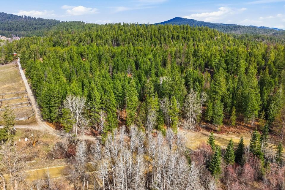 2845 Burnt Valley (18.5ac) Rd - Photo 6