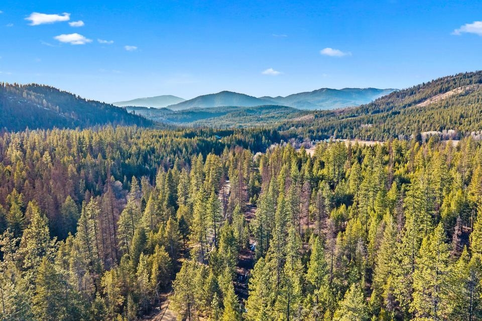 2845 Burnt Valley (18.5ac) Rd - Photo 7
