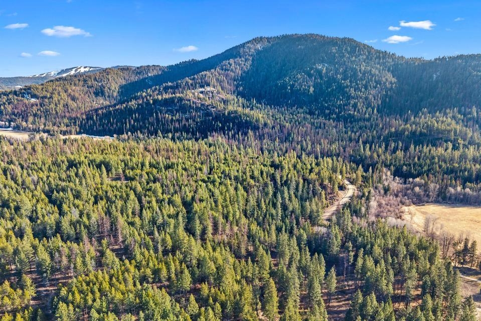 2845 Burnt Valley (18.5ac) Rd - Photo 9