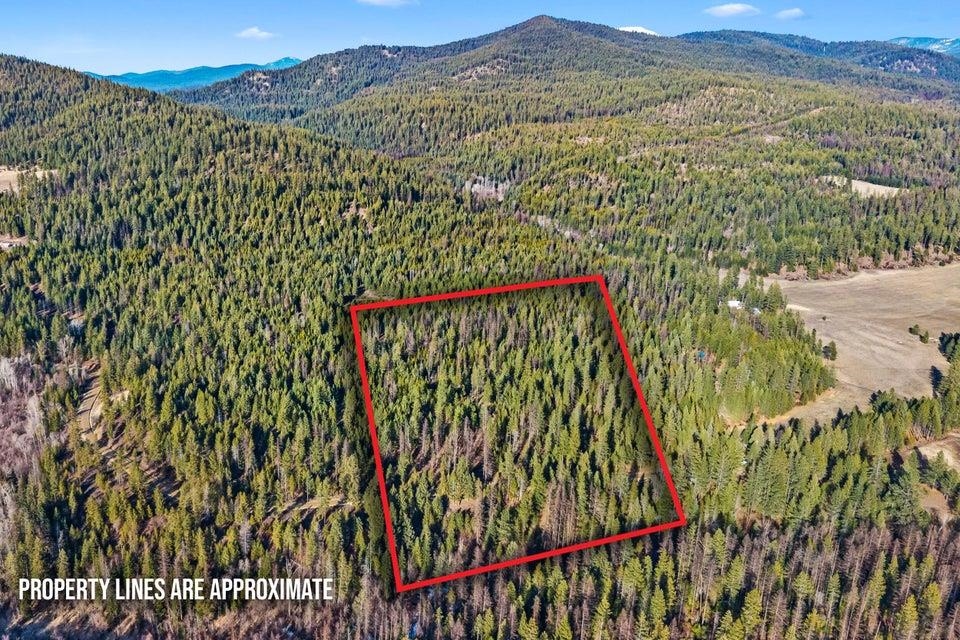 28XX Burnt Valley (20ac) Rd - Photo 1