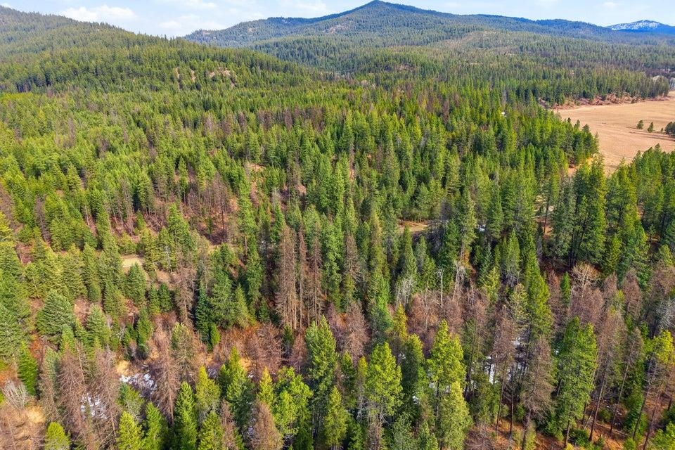 28XX Burnt Valley (20ac) Rd - Photo 12