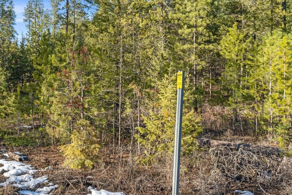 28XX Burnt Valley (20ac) Rd - Photo 14
