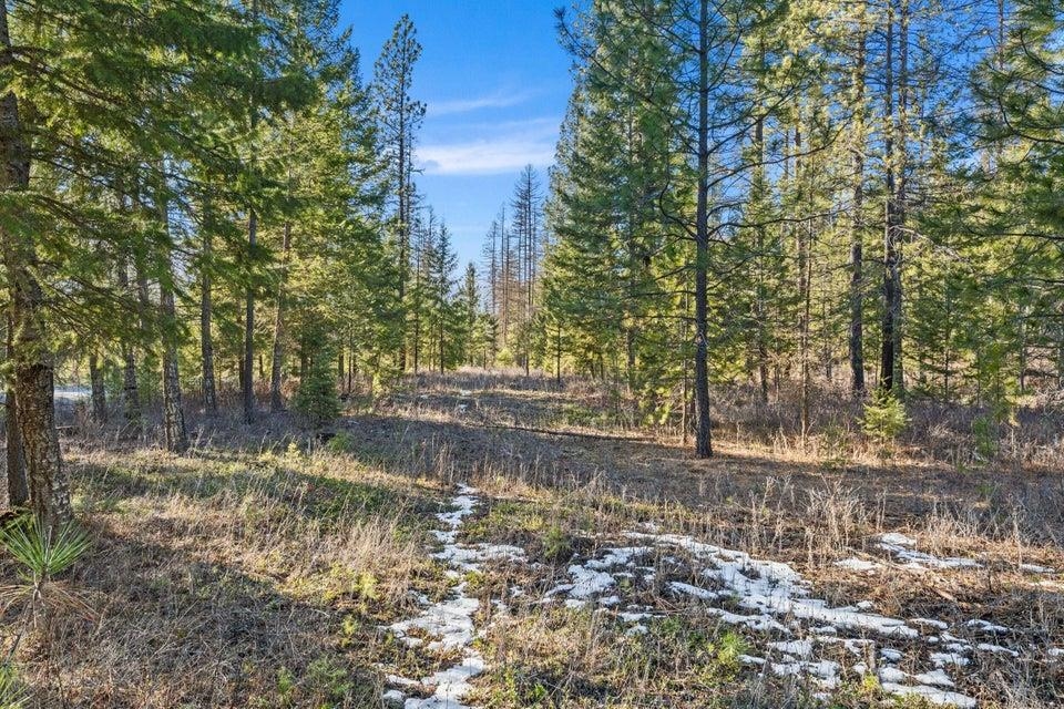 28XX Burnt Valley (20ac) Rd - Photo 15