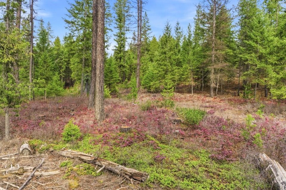 28XX Burnt Valley (20ac) Rd - Photo 17