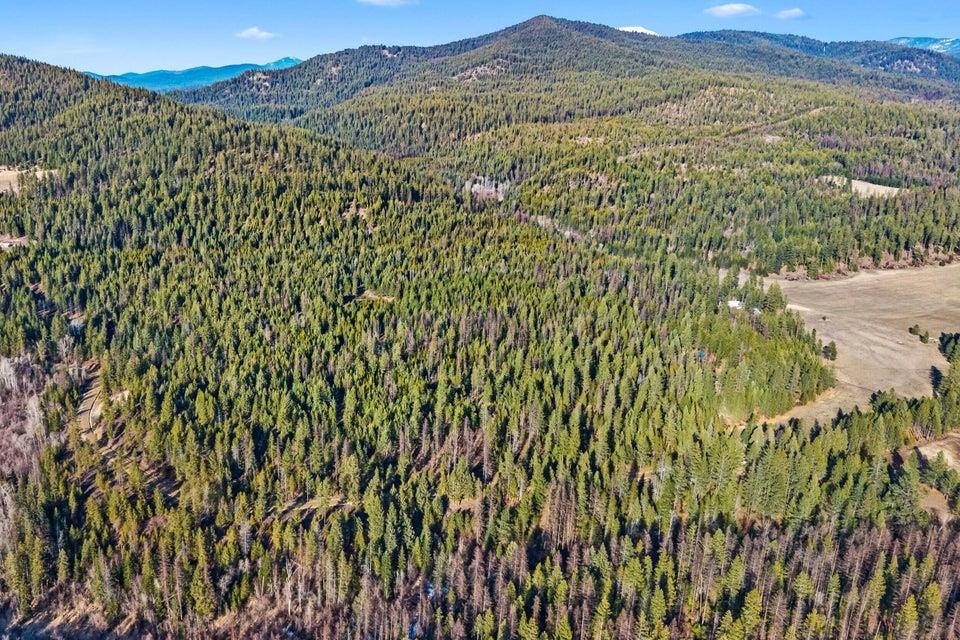 28XX Burnt Valley (20ac) Rd - Photo 3