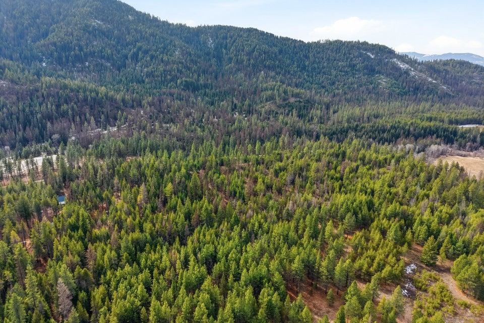 28XX Burnt Valley (20ac) Rd - Photo 4