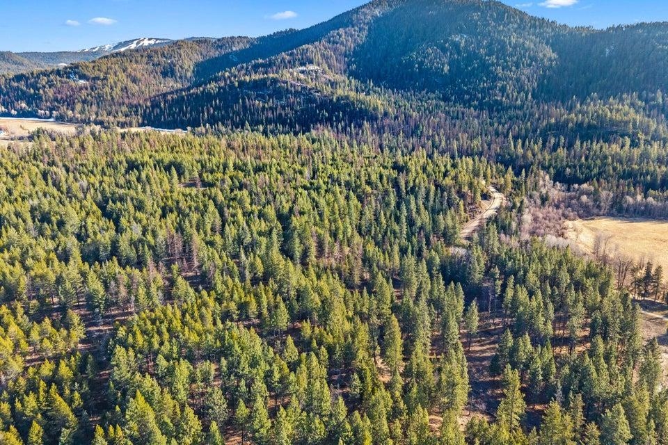 28XX Burnt Valley (20ac) Rd - Photo 6