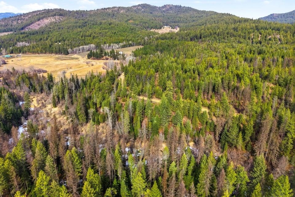 28XX Burnt Valley (20ac) Rd - Photo 9