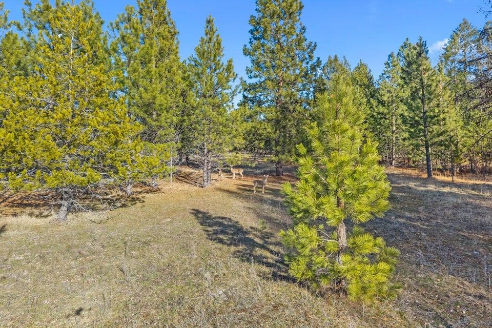 2957 Burnt Valley (9.79ac) Rd - Photo 11