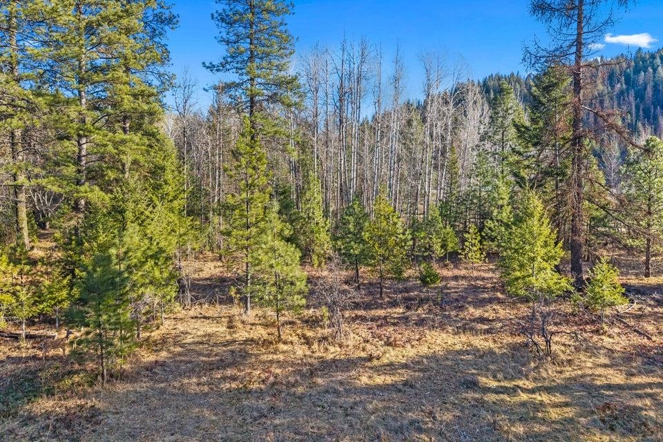 2957 Burnt Valley (9.79ac) Rd - Photo 12
