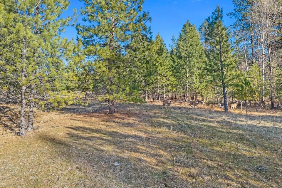 2957 Burnt Valley (9.79ac) Rd - Photo 14