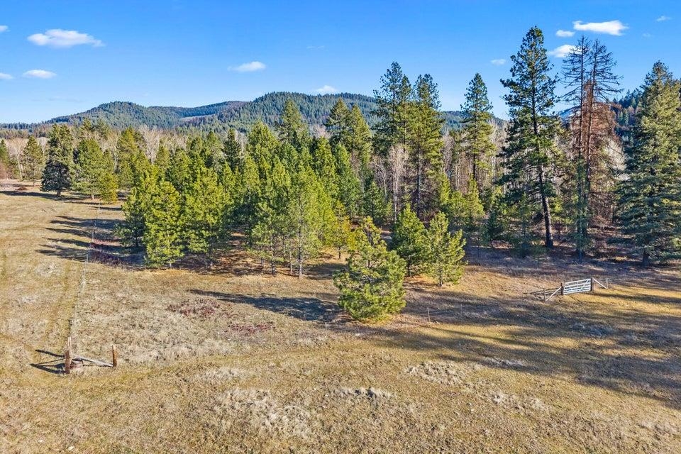 2957 Burnt Valley (9.79ac) Rd - Photo 15