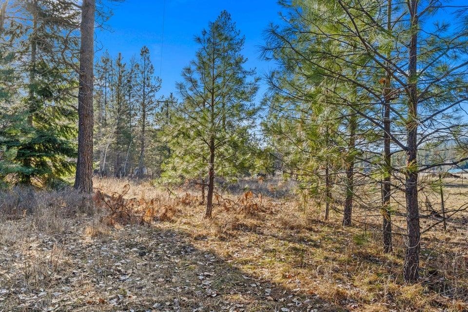 2957 Burnt Valley (9.79ac) Rd - Photo 16