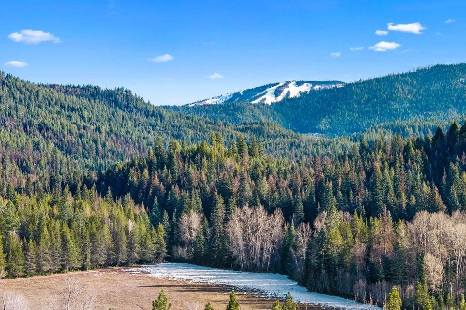2957 Burnt Valley (9.79ac) Rd - Photo 5