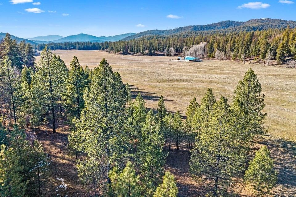 2957 Burnt Valley (9.79ac) Rd - Photo 7