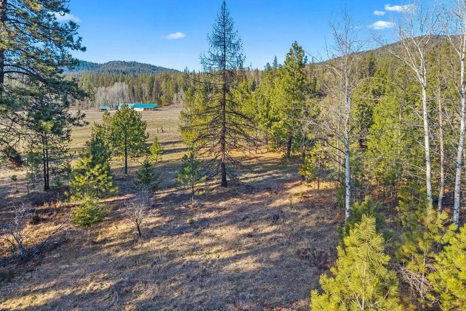 2957 Burnt Valley (9.79ac) Rd - Photo 8