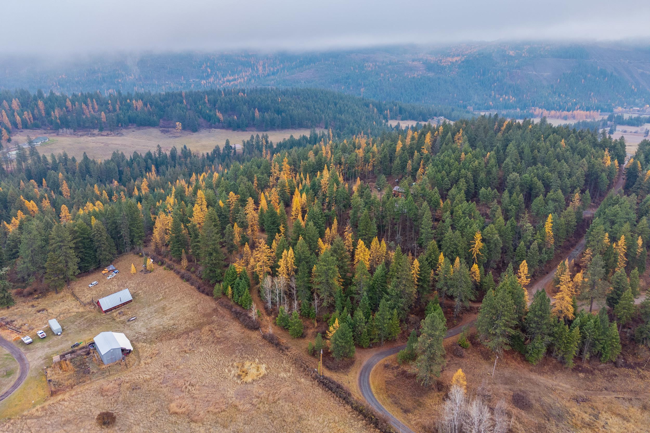 700 L Dry Gulch Rd - Photo 1