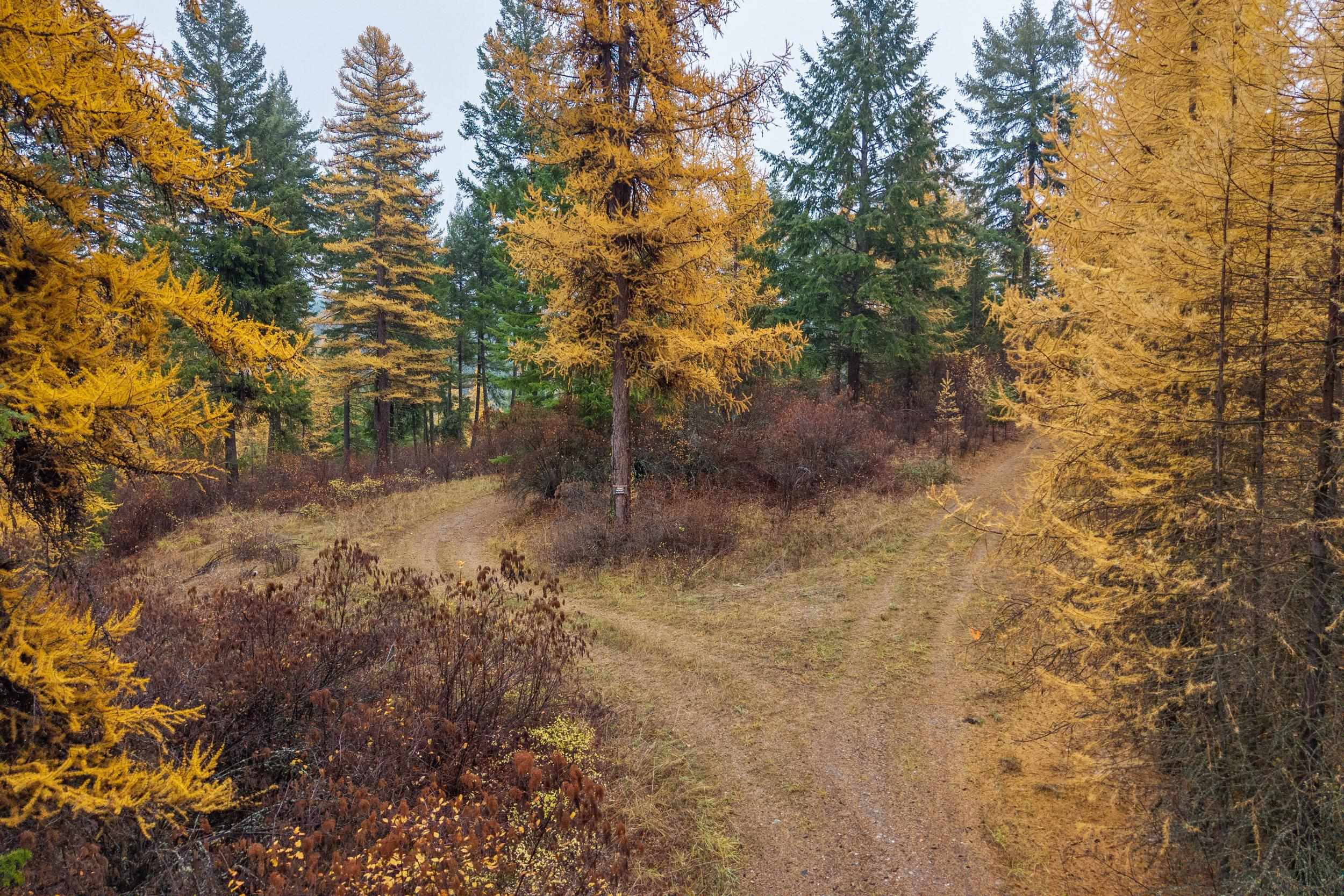 700 L Dry Gulch Rd - Photo 3