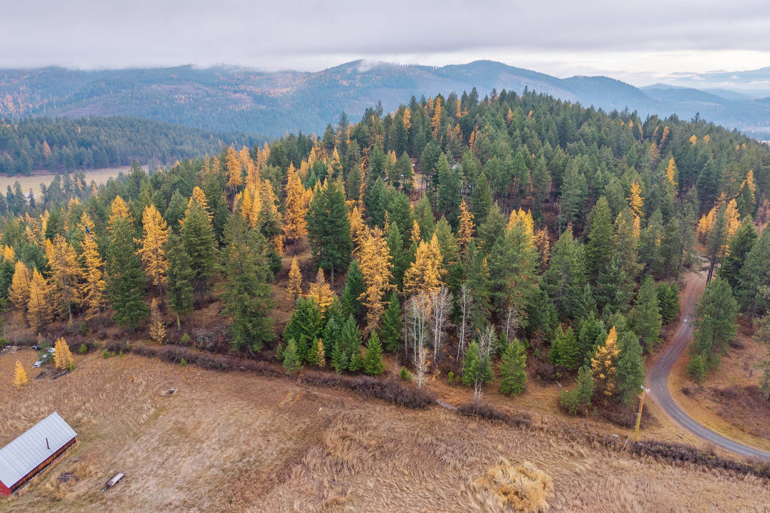 700 L Dry Gulch Rd - Photo 4