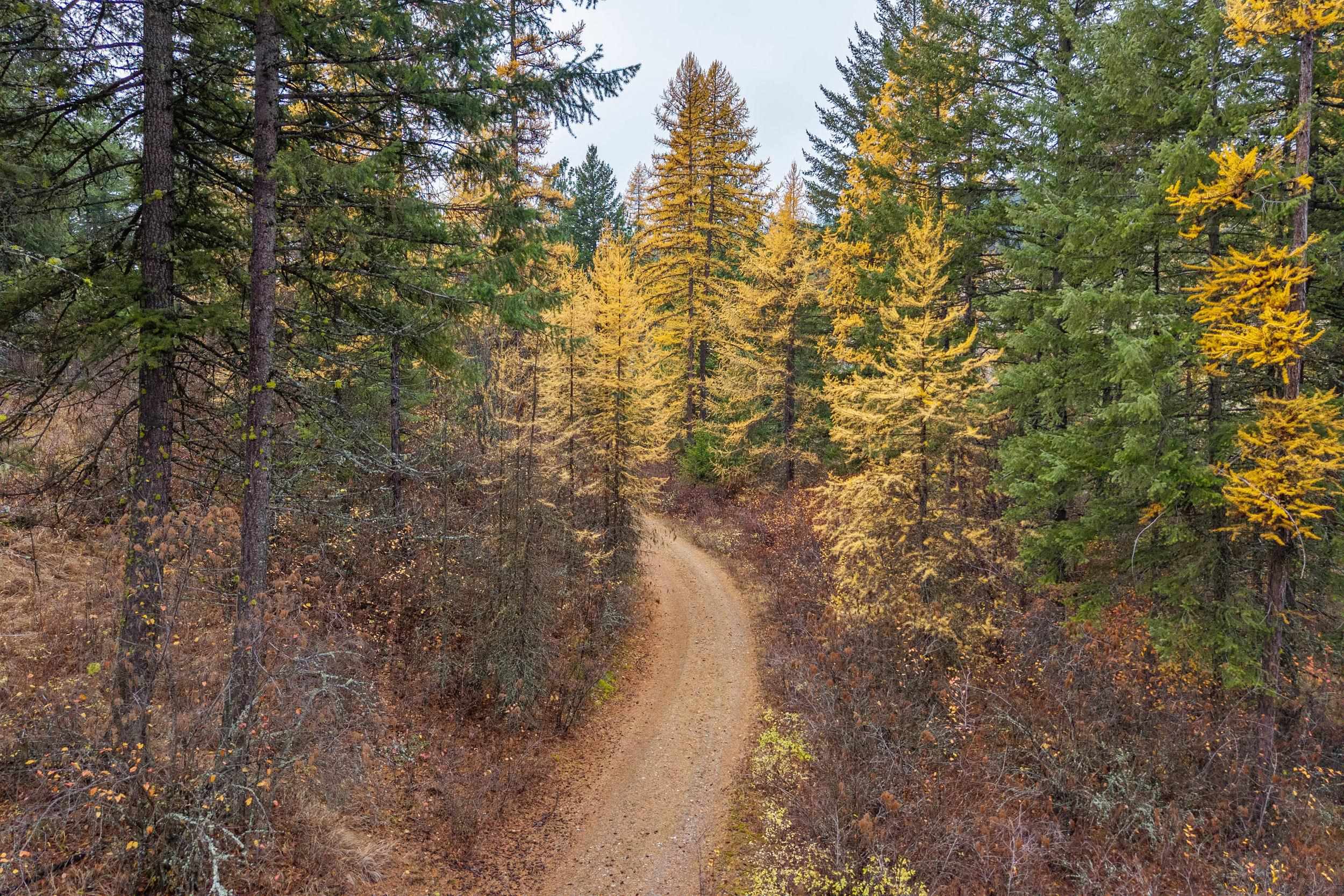 700 L Dry Gulch Rd - Photo 5