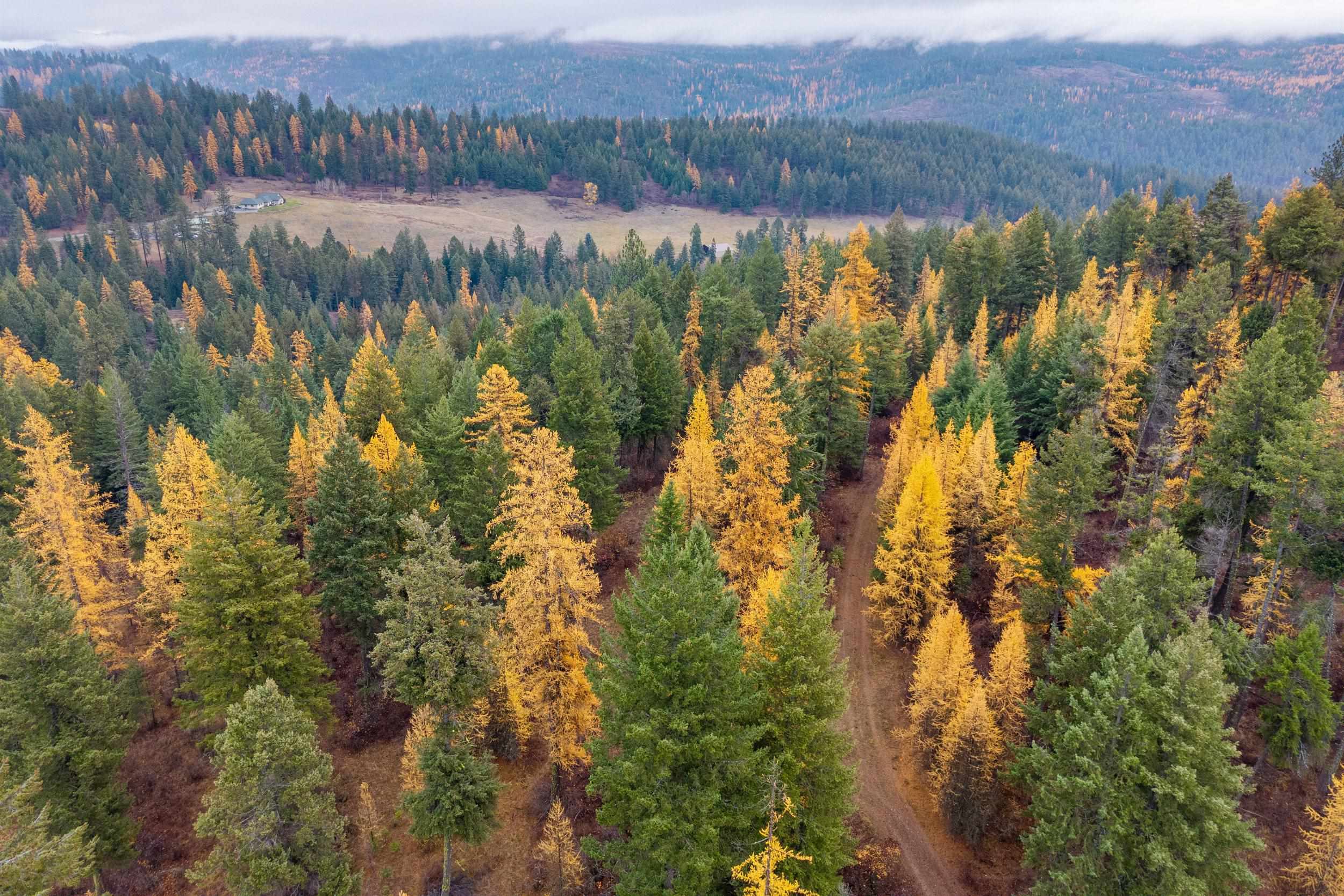 700 L Dry Gulch Rd - Photo 6