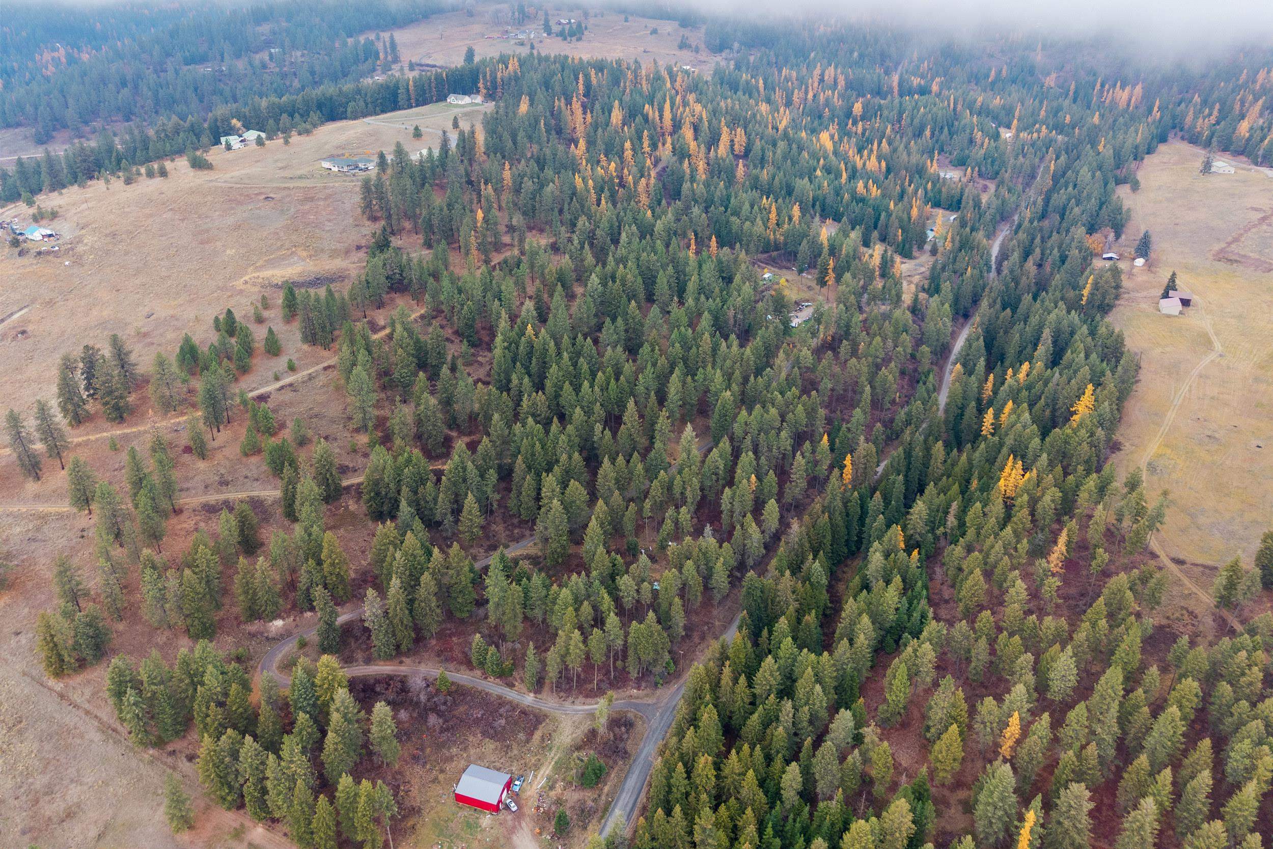 700 L Dry Gulch Rd - Photo 7