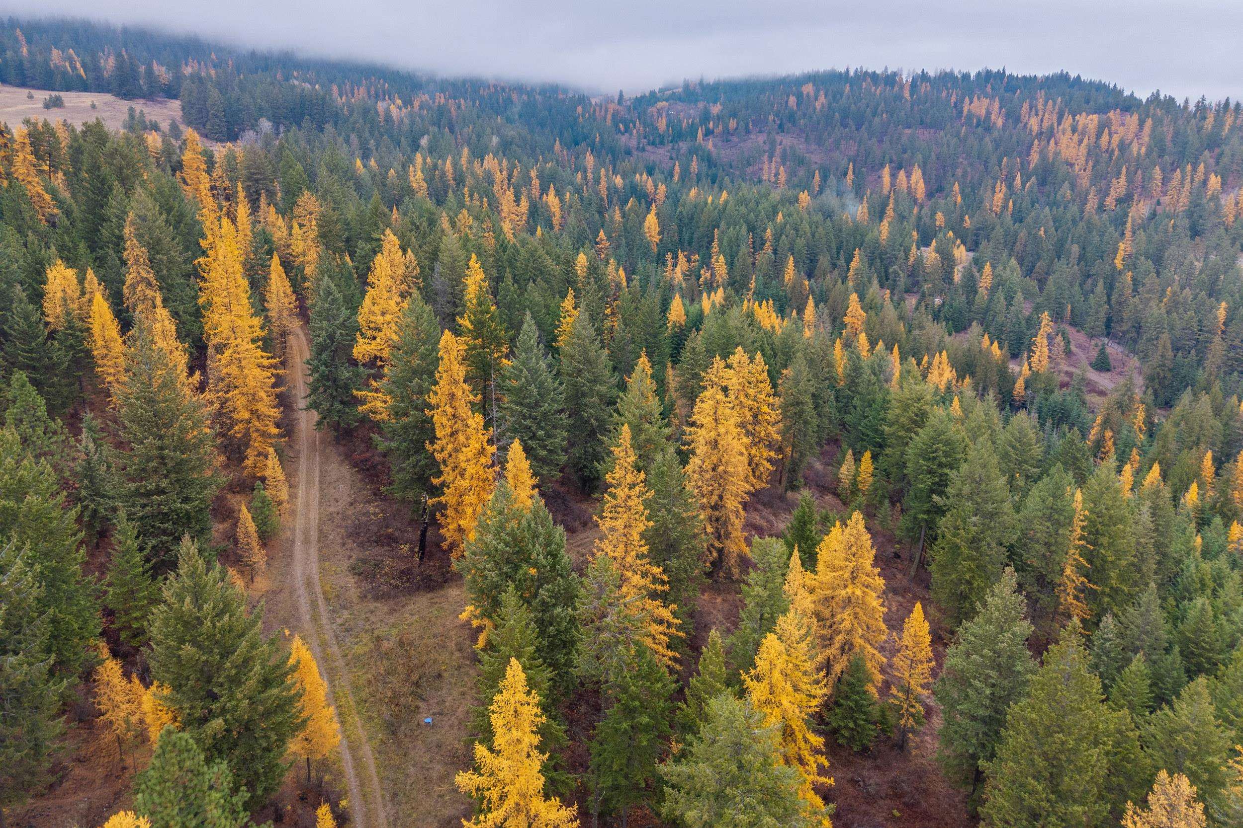 700 L Dry Gulch Rd - Photo 8