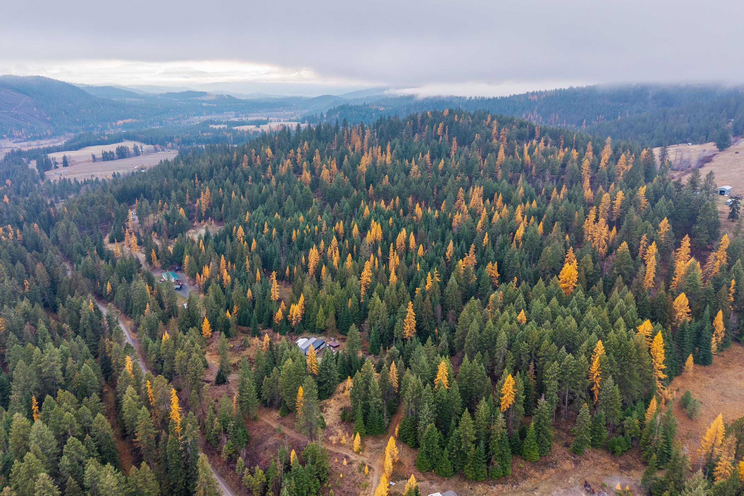 700 L Dry Gulch Rd - Photo 9