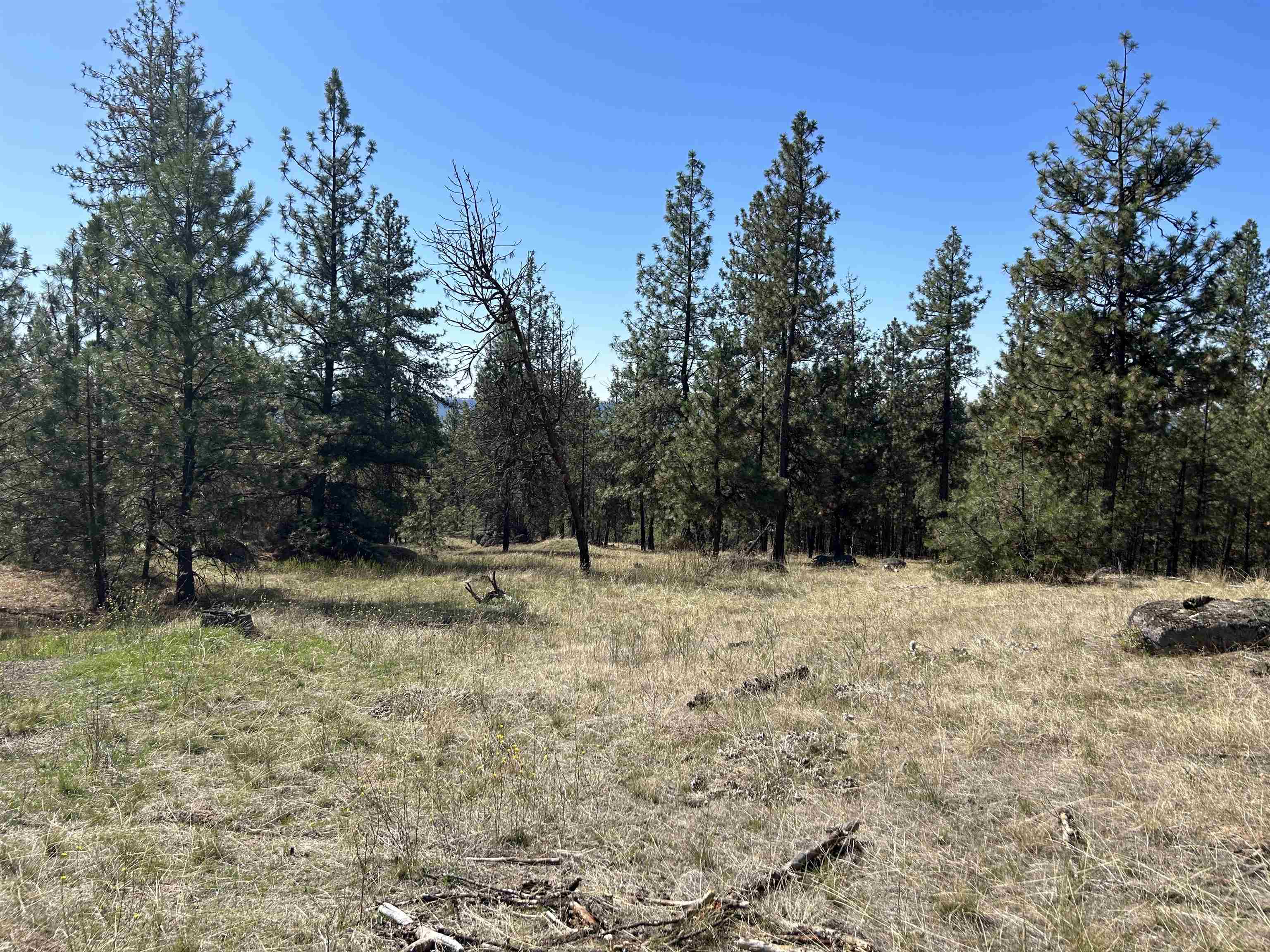 NNA Corkscrew Canyon Rd - Photo 1
