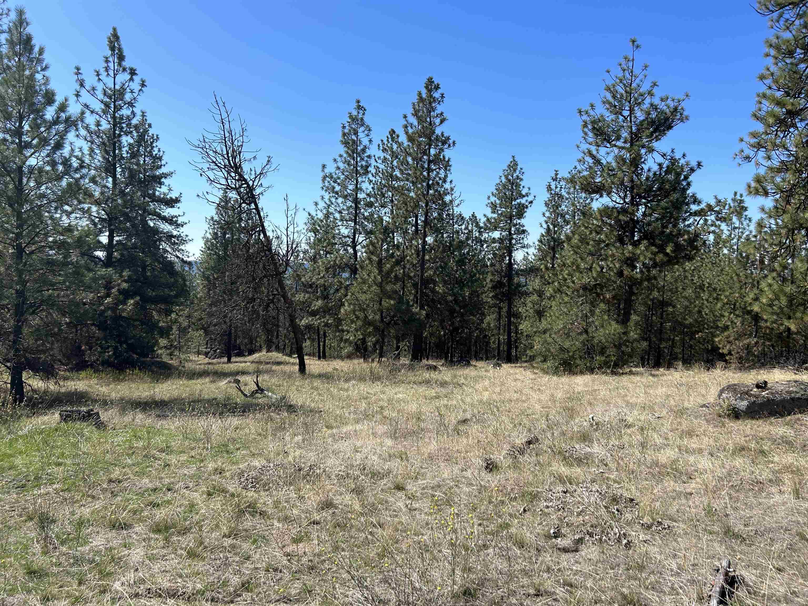 NNA Corkscrew Canyon Rd - Photo 2