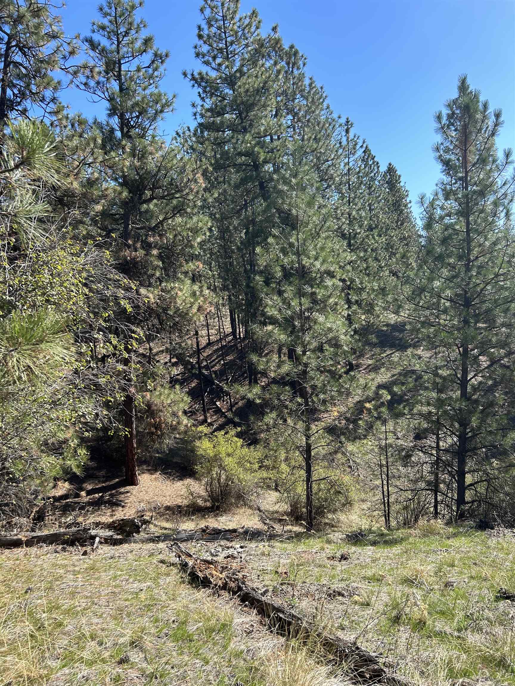 NNA Corkscrew Canyon Rd - Photo 11