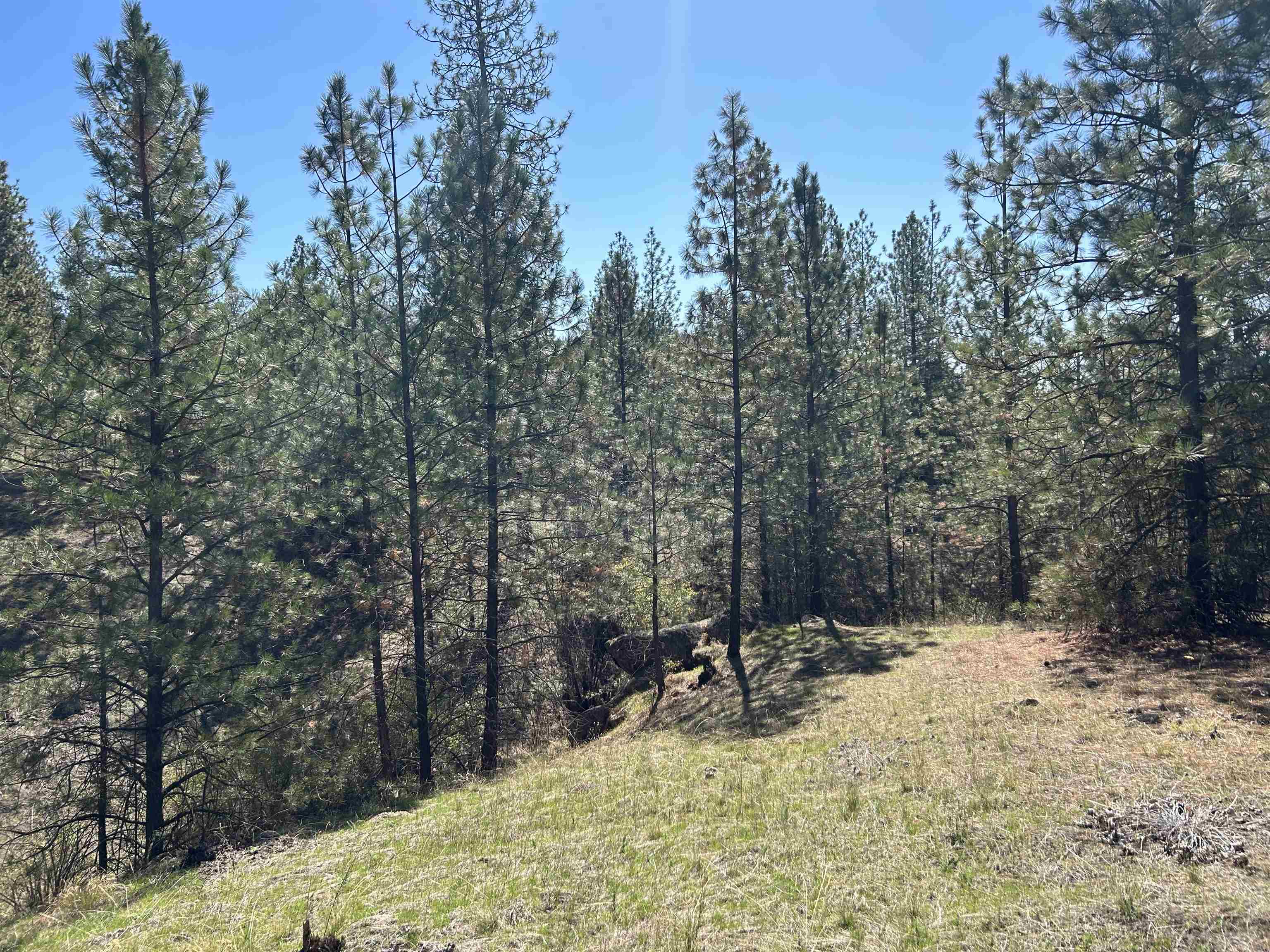 NNA Corkscrew Canyon Rd - Photo 12