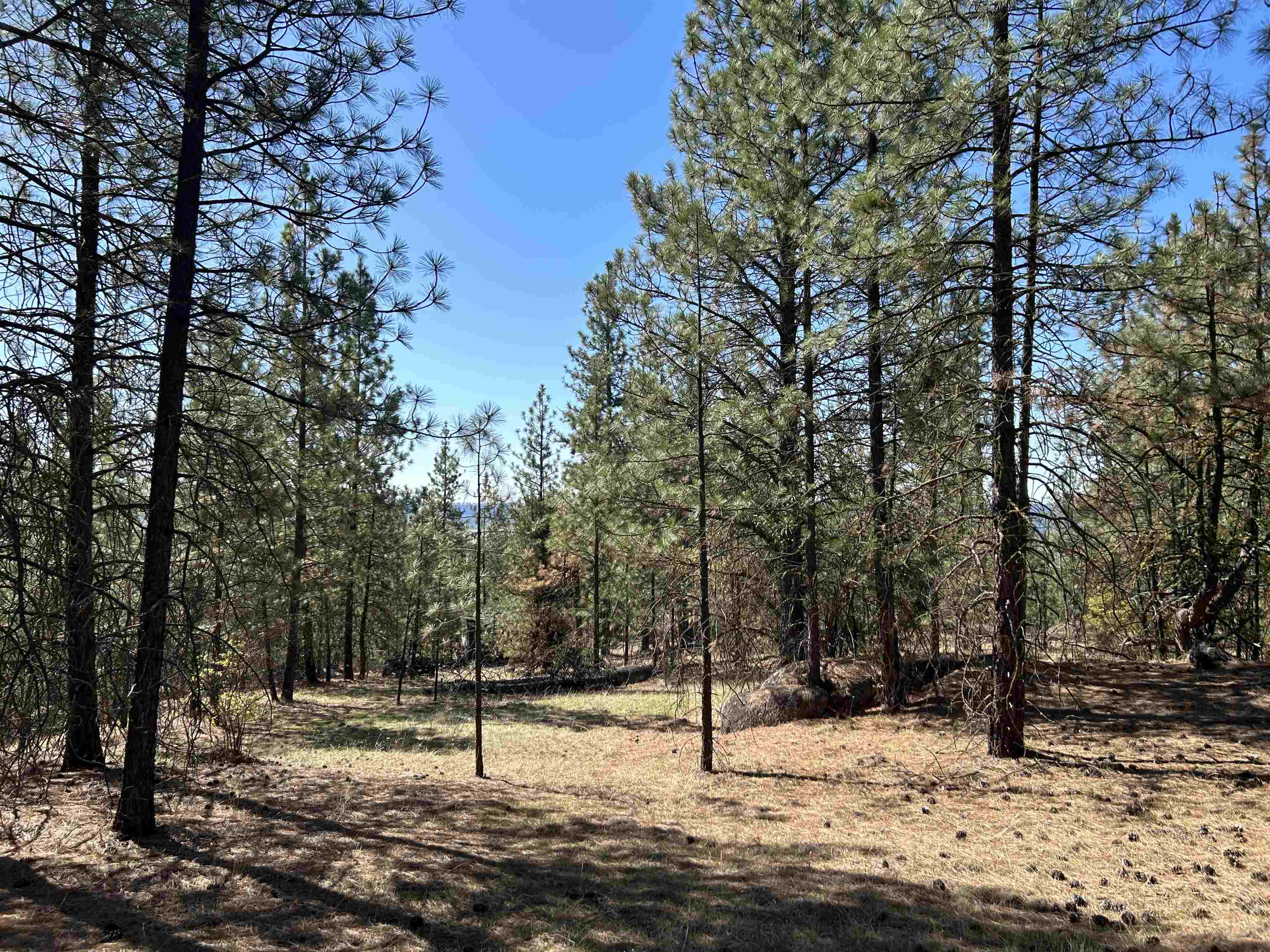 NNA Corkscrew Canyon Rd - Photo 13