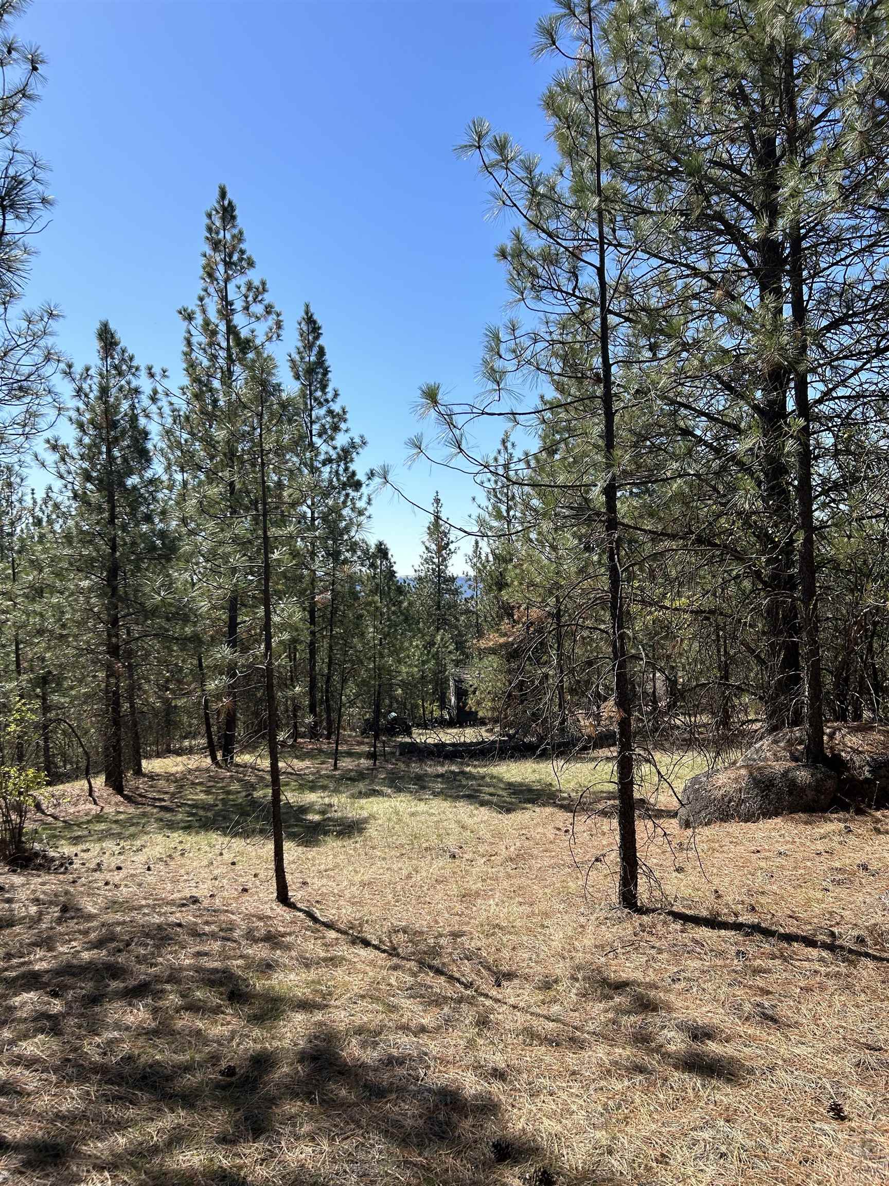 NNA Corkscrew Canyon Rd - Photo 14