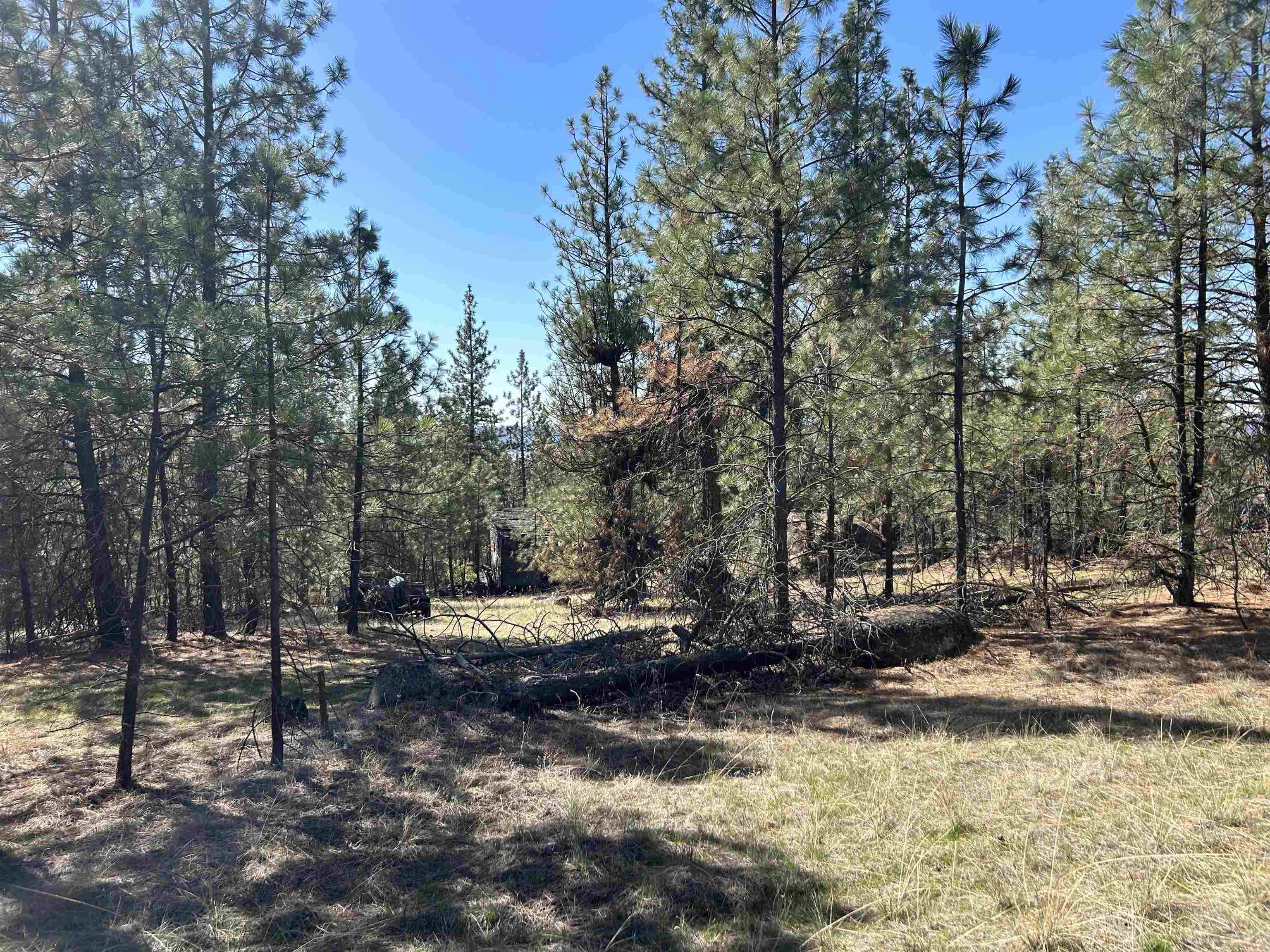 NNA Corkscrew Canyon Rd - Photo 15