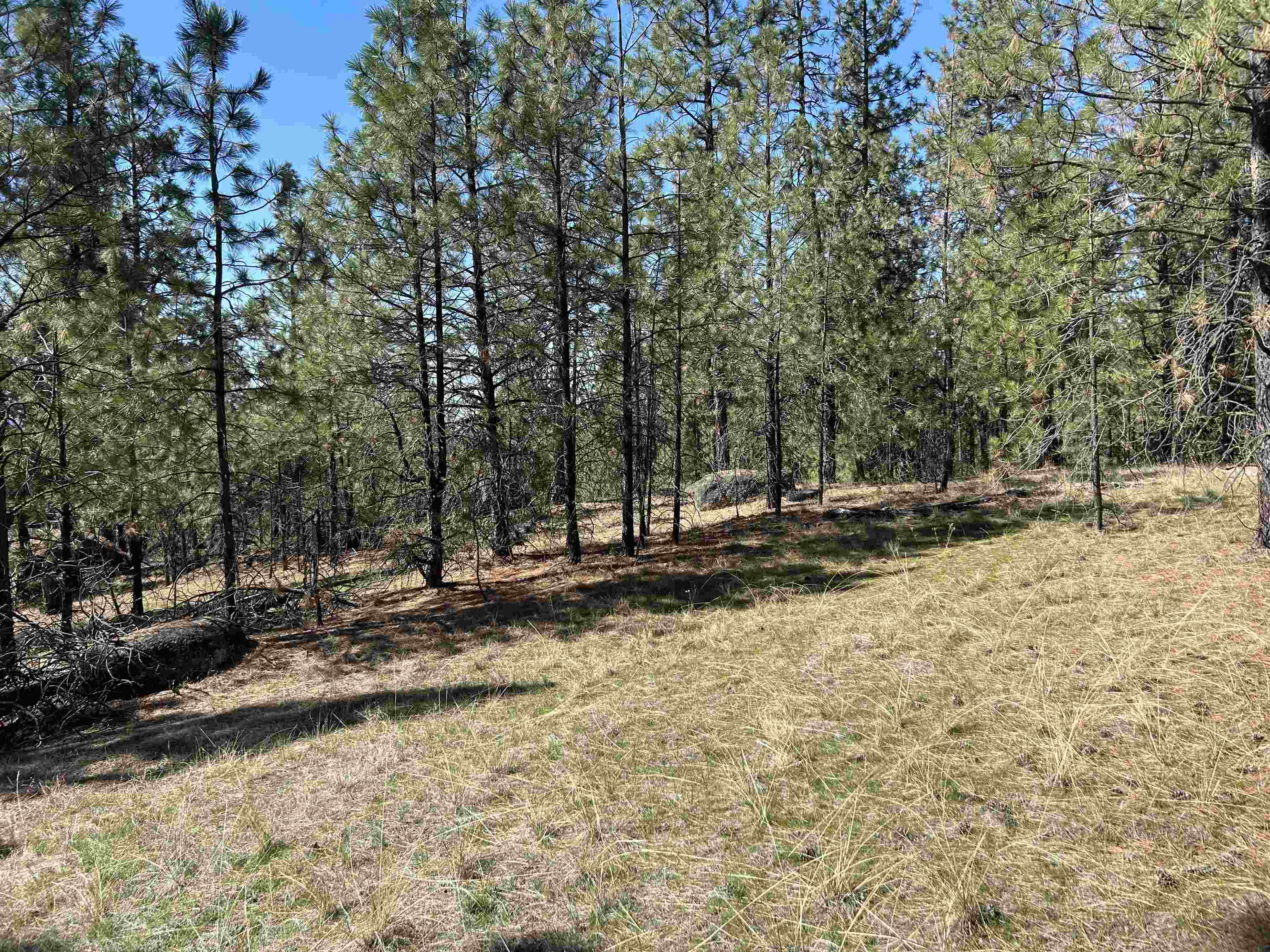 NNA Corkscrew Canyon Rd - Photo 16